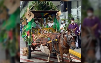 <p><strong>DECORATIVE CALESA</strong>. Best painted and decorated <em>calesas</em> or the two-wheeled horse-drawn carriage like this one take centerstage in the <em>Pavvurulun Afi Festival’s</em> event in front of a private mall in Tuguegarao City on Friday (Aug. 5, 2022). The festival represents unity and fire, which symbolize peace and progress, according to Evangeline Calubaquib, festival organizer. <em>(PNA photo by Villamor Visaya Jr.) </em></p>