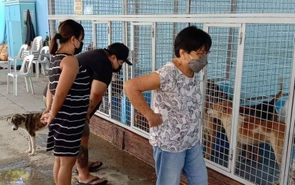 <p><strong>CITY POUND</strong>. Rescued dogs in Iloilo City are brought to the Iloilo City Pound and Animal Shelter in Mandurriao district for possible adoption in this undated photo. In a report released on Friday (Aug. 5, 2022), the City Legal Office said it has recommended the filing of administrative charges against the city veterinarian and eight others found to have “euthanized" 11 stray dogs in Barangay Navais, Mandurriao on July 20 instead of impounding them and making them available for adoption. <em>(Photo courtesy of Iloilo City Pound and Animal Shelter FB page)</em></p>