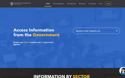 <p><em>(eFOI website screenshot)</em></p>