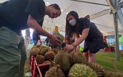 <p><strong>CHOOSING THE BEST</strong>. Durian buyers choose the best fruit during the opening of the Kadayawan Durian Festival on Friday (Aug. 12, 2022) which showcases a wide array of varieties to choose from. The event being held as part of the Davao City Kadayawan Festival, will run from Aug. 12 to Sept. 12. <em>(PNA photo by Che Palicte)</em></p>