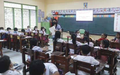 Solon calls for foreign language studies in basic education