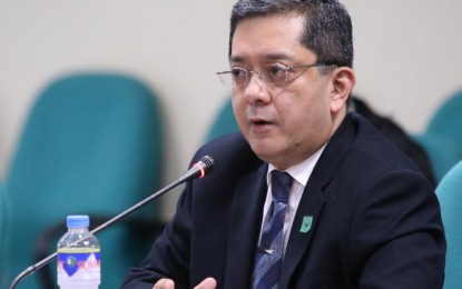 <p>Commission on Elections Chairperson George Garcia. <em>(Photo courtesy of Senate PRIB)</em></p>