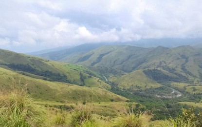 <p><strong>REFORESTATION.</strong> The local government unit of Mangatarem town in Pangasinan province continuously conducts tree planting activities to reforest denuded mountains. It has partnered with the Department of Environment and Natural Resources (DENR) and private organizations. <em>(Photo by Hilda Austria)</em></p>