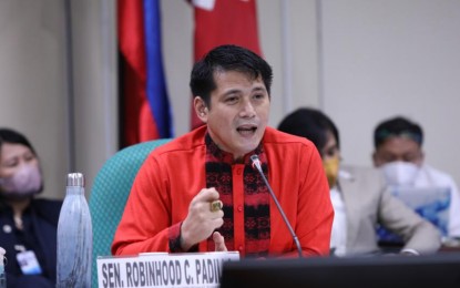 <p>Senator Robinhood Padilla <em>(Photo courtesy of Senate PRIB)</em></p>