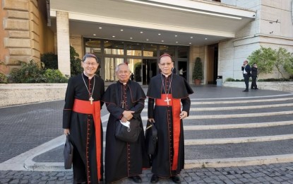 <p>Cardinals Luis Antonio Tagle, Orlando Quevedo and Jose Advincula<em> (Photo from CBCP News FB)</em></p>