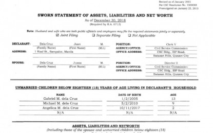 <p>Sample form of Statement of Assets, Liabilities and Net worth <em>(Source: CSC)</em></p>