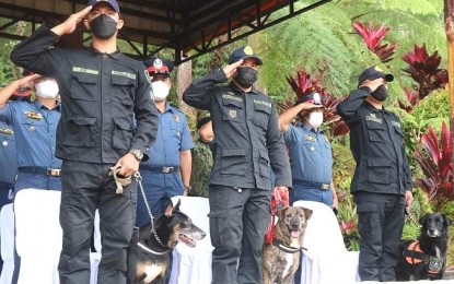 <p><strong>RETIREMENT</strong>. Three canines who were trained and tapped by the police for combat tracking and search and rescue operations are due for adoption after having retired from service. “Gordon”, “Wanda”, and “Bullet”, all “Asong Pinoy” or Aspin, have recorded significant accomplishments while in active police service. <em>(Photo courtesy of PROCor-PIO)</em></p>