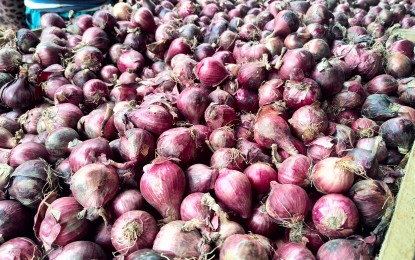 <p>Red onions sold in the market<em> (PNA photo by Alfred Frias)</em></p>