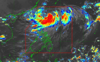 <p><em>(Satellite image from PAGASA)</em></p>
