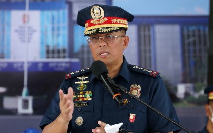 <p>PNP Chief Gen. Rodolfo Azurin <em>(PNA file photo)</em></p>