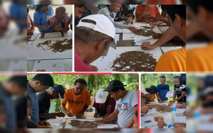 <p><strong>COFFEE TRAINING.</strong> The Department of Trade and Industry in Negros Oriental is continuing its series of training for coffee farmers in the province. On Sept. 2, the DTI conducted its Coffee 102: Defect Identification and Green Grading Training for farmers from Dawis, Bayawan City (shown in photo). <em>(Photo courtesy of DTI-Negros Oriental)</em></p>
