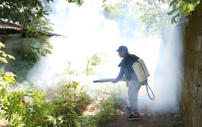 <p><strong>DENGUE PREVENTION.</strong> A fogging activity in Tacloban City in this undated photo. The initiative aims to reduce dengue fever cases. (<em>PNA file photo</em>)</p>