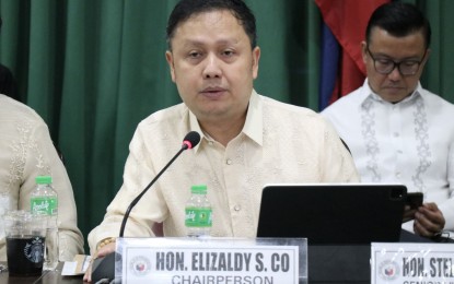 <p>House Appropriations Committee Chairman Elizaldy Co <em>(File photo courtesy of House Press and Public Affairs Bureau)</em></p>