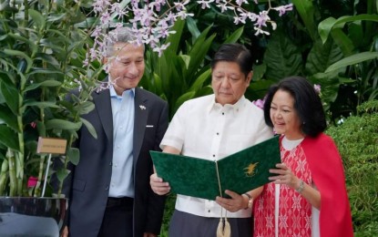 <p><strong>'DENDROBIUM FERDINAND LOUISE MARCOS'. </strong>President Ferdinand 'Bongbong' Marcos Jr. (center) and First Lady Liza Araneta-Marcos (right) reads the card containing information on the orchid named after them -- the 'Dendrobium Ferdinand Louise Marcos' -- during their visit at the Singapore Botanical Garden on Wednesday (Sept. 7, 2022). Also in the photo is Singaporean Foreign Minister Vivian Balakrishnan (left). <em>(Photo courtesy of Bongbong Marcos Facebook page)</em></p>