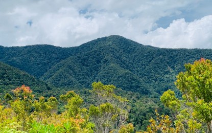 <p>Pantaron Mountain Range in Davao del Norte <em>(Courtesy of DENR-11)</em></p>