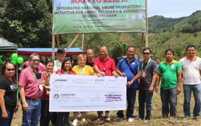 DavOcc farmers get P5.5M for swine production