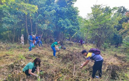 <p><strong>GREENING ACTIVITY.</strong> Personnel of several government agencies on Tuesday (Sept. 13, 2022) plant some 1,000 forest and fruit-bearing tree seedlings in Barangay San Juan Baño, Arayat, Pampanga, one of the identified tree planting sites in Central Luzon. The activity kicked off the nationwide simultaneous tree planting program of the Department of the Interior and Local Government aimed at protecting the environment.<em> (Photo courtesy of the Provincial Government of Pampanga)</em></p>