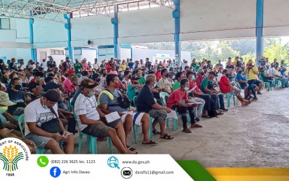 <p><strong>FUEL SUBSIDY.</strong> Some 500 corn farmers and fisherfolk receive PHP3,000 fuel subsidy from the Department of Agriculture in Davao Region (DA-11) during a caravan held in Davao City on Thursday (Sept. 15, 2022). Some 100 corn farmers and 400 fisherfolk from Paquibato, Marilog, Calinan, and Tugbok District received their discount cards.<em> (Photo from DA-11)</em></p>
