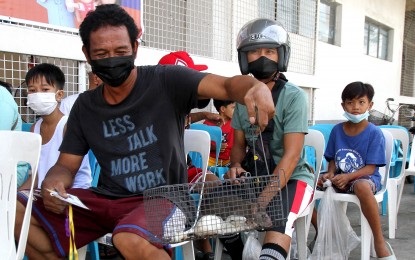 <p><strong>EARLY DETECTION</strong>. A man holds a live rat to be exchanged for cash at the City Environment and Management Office (CEMO) headquarters in Marikina City on Sept. 16, 2022, as part of the city's efforts against cases of leptospirosis. The Department of Science and Technology is funding a project to develop a kit for the early detection of the disease. <em>(PNA file photo)</em></p>