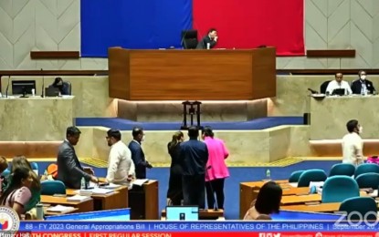 <p><em>(Screengrab from House of Representatives Zoom live video)</em></p>