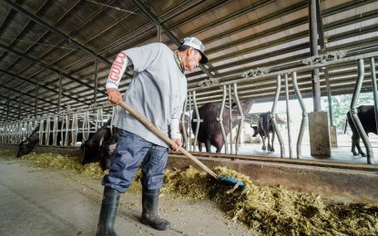 Pangasinan govt-run dairy farm earns P2-M in ‘23