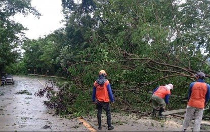 <p><strong>CLEARING OPERATIONS</strong>. Personnel of the Department of Public Works and Highways (DPWH) conduct clearing operations along the Nueva Ecija-Aurora Road in Bongabon, Nueva Ecija on Monday (Sept. 26, 2022). Some road sections in Central Luzon were closed to traffic due to floods, landslides, mudslides and other obstructions caused by the fury of Super Typhoon Karding. <em>(Photo courtesy of DPWH Region 3)</em></p>