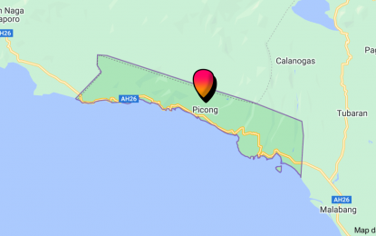 <p>Google map of Picong, Lanao del Sur.</p>