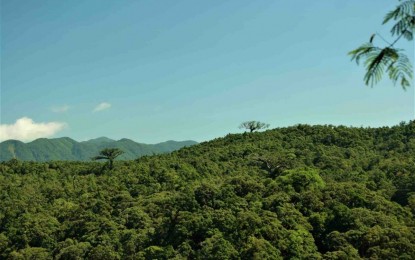 Save Sierra Madre For Food Sustainability Amid Climate Change   Sierra Madrepia Photo 