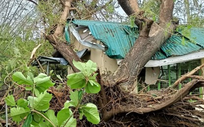 <p><strong>‘KARDING’ AFTERMATH</strong>. A huge tree branch crushes the roof of a classroom in Marawa Elementary School in Nueva Ecija on Monday (Sept. 26, 2022). The initial report said an estimated PHP112 million is needed for infrastructure repair, following the aftermath of Typhoon Karding. <em>(Photo courtesy: DepEd-Philippines)</em></p>