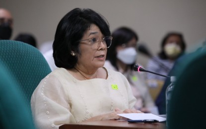 <p>Department of Environment and Natural Resources Secretary Antonia Loyzaga. <em>(FIle photo)</em></p>