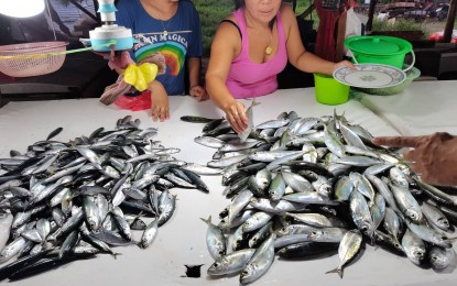<p><strong>SUSTAINABLE FISHERIES</strong>. The Negros Oriental Chamber of Commerce and Industry is backing a proposal to give incentives to cities and municipalities with jurisdiction over municipal waters with incentives to adopt a strategy for sustainable fisheries. The ecosystems approach to fisheries management (EAFM) of the USAID Fish Right Program is being pushed for full implementation in the coastal areas of Negros Oriental. <em>(PNA photo by Judy Flores Partlow) </em></p>
