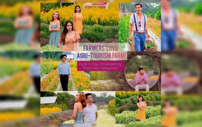 <p><strong>FLOWER FARM</strong>. A flower farm in Pozorrubio town, Pangasinan province will open on Oct. 1, 2022. It offers varieties of colorful flowers and instragrammable areas. <em>(Photo courtesy of Farmers' Love Agri-Tourism Farm)</em></p>