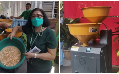 <p><strong>AGRI-AID. </strong> Charish Paña (left photo), provincial agrarian reform program officer, shows a container of hammered corn from a 3-in-1 hammer mill donated by the Department of Agrarian Reform to corn farmers in North Cotabato. Before the turnover program on Tuesday (Oct. 4, 2022), Paña demonstrated how the machine works.<em> (Photo courtesy of DAR North Cotabato)</em></p>