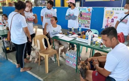 <p><strong>CONSULTATION FOR PETS</strong>. Dog owners in E.B. Magalona town in Negros Occidental bring their pets for consultation and vaccination during the Provincial Veterinary Office Third District Field Unit’s observance of World Rabies Day on Sept. 28. 2022. As of Oct. 4, data from the Provincial Health Office showed that 10 persons have already died due to suspected and confirmed rabies infections this year. <em>(Photo courtesy of Provincial Veterinary Office-Negros Occidental)</em></p>