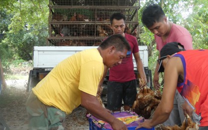 DA distributes livelihood aid to farmers in C. Luzon