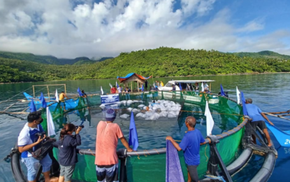 <p>Sagñay Mariculture Park and Tilapia Fingerlings at Sagñay River in Camarines Sur<em> (Photo courtesy of BFAR)</em></p>