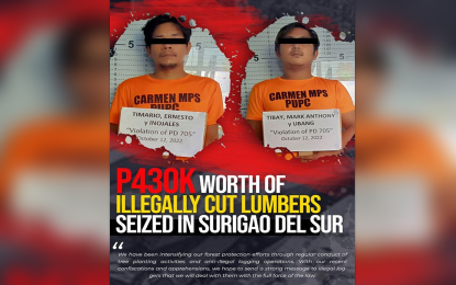 <p><strong>ARRESTED.</strong> Suspects Mark Anthony Ubang Tibay, 29, and Ernesto Inojales Timario, 35, both of Caloocan City, are arrested on Wednesday (Oct. 12) in Carmen, Surigao del Sur, for illegally transporting forest products. Seized from the suspects are various lumber products worth over PHP389,000.<em> (Photo courtesy of PRO-13)</em></p>