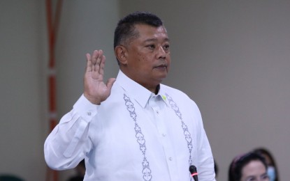 Remulla set to update UN body on PH human rights policies
