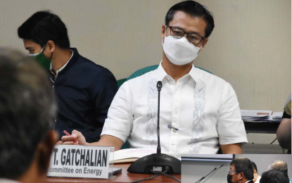 <p>Senator Sherwin Gatchalian <em>(File photo)</em></p>