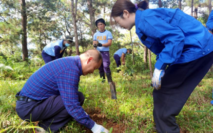 <p><strong>GREENER PH.</strong> Employees of the project department of the Kapangan Hydropower Station join a tree planting in Kapangan town, Benguet province on Sept. 23, 2022. The activity supports the Philippines’ National Greening Program launched in 2011. <em>(Contributed photo)</em></p>