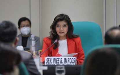 <p>Senator Imee Marcos <em>(PNA file photo)</em></p>