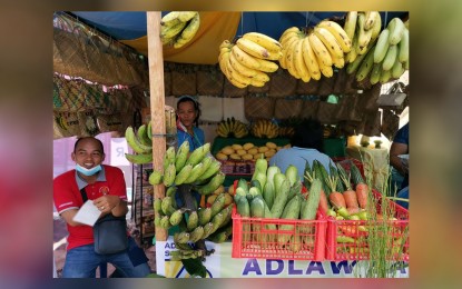 <p><strong>LOCAL HARVEST</strong>. Locally-produced fruits and vegetables displayed during a trade fair in Ormoc City in this Oct. 12, 2022 photo. The Ormoc City government is eyeing to be recognized as the organic food basket in the Visayas as it celebrates the 75th Charter Day on Thursday (Oct. 20, 2022). <em>(Photo courtesy of Ormoc City Agriculture Office)</em></p>