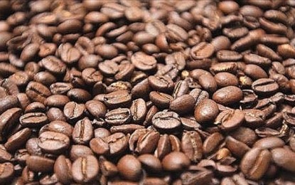 Processing facility seen to boost coffee industry in Laguna town