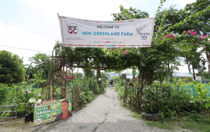 QC urban farmers help fight climate change
