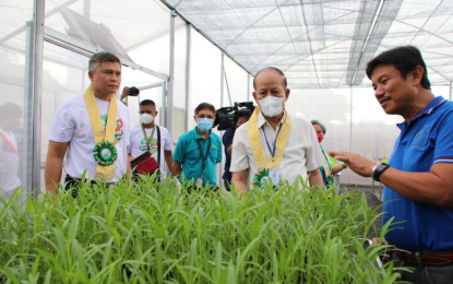 <p><strong>GREEN REVOLUTION 2.0.</strong> Officials of the Department of Agriculture witness the launching of the Green Revolution 2.0: Plants for Bountiful Barangays Movement (Luntiang Ani ng Mamamayan) at Rizal Park in Luneta, Manila on Oct. 26, 2022. The program aims to improve the nutrition of Filipinos by increasing production and supply of fresh fruits and vegetables in the urban, peri-urban and rural areas.<em> (Photo courtesy of DA-AFID)</em></p>