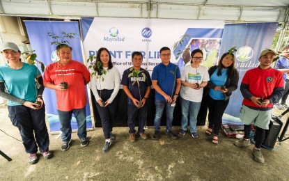 <p><strong>TREE PLANTING</strong>. The Office of the Press Secretary (OPS) joins the annual tree-planting activity organized by water concessionaire Maynilad Water Services Inc. at the Ipo Watershed in Nozagaray, Bulacan on Oct. 28, 2022. The participation of OPS personnel was in line with President Ferdinand R. Marcos Jr.'s directive to look for ways to fight climate change.<em> (Photo from OPS' official Facebook page)</em></p>