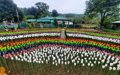 <p><strong>TULIP FARM.</strong> A vegetable farm in Barangay Casilagan, San Juan, La Union features tulip flowers made of almost 9,000 pieces of recycled plastic bottles. Since it was opened to the public, the area has been attracting tourists as admission is free. <em>(Photo courtesy of Barangay Casilagan Facebook page)</em></p>