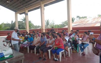 <p><strong>TUPAD FARMER-BENEFICIARIES.</strong> Some 149 farmers affected by the African swine fever undergo an orientation Wednesday (Nov. 9, 2022) after qualifying for the Tulong Panghanapbuhay sa Ating Disadvantaged/Displaced Workers program of the Department of Labor and Employment. Dr. Mario Arriola, the city veterinarian, said the farmers comprise the first batch of beneficiaries of the program.<em> (Photo courtesy of Zamboanga CIO)</em><br />'</p>