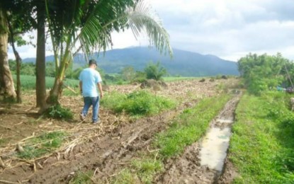 <p><strong>LAND TITLING</strong>. The 38.59 hectares of land in Barangay Amayco, Murcia, Negros Occidental subject to titling for 38 farmer-beneficiaries. Under the Support to Parcelization of Lands for Individual Titling project, the Department of Agrarian Reform aims to subdivide the lands previously given to the farmer-beneficiaries through collective certificate of land ownership awards, which would eventually be re-awarded through individual titles to the farmers. <em>(Photo courtesy of DAR Negros Occidental I-North)</em></p>