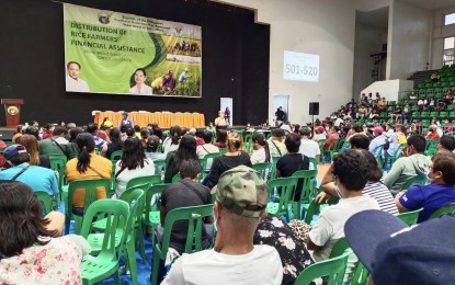 <p><strong>CASH AID</strong>. The Department of Agriculture 3 (Central Luzon), in collaboration with the provincial government of Pampanga, distributes cash assistance to qualified farmer-beneficiaries in the province, at the Bren Z. Guiao Convention Center on Friday (Nov. 11, 2022). A total of 3,805 farmers from the different municipalities of the province received PHP5,000 each during the distribution. <em>(Photo courtesy of the provincial government of Pampanga)</em></p>